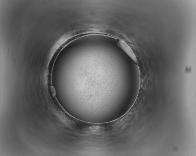 X0000102380152200808011544
