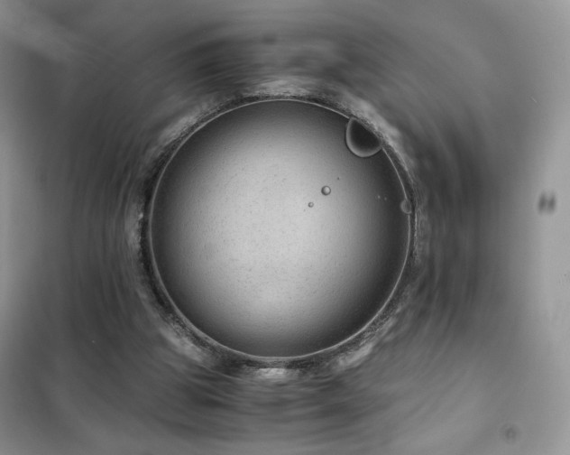 X0000102380153200808011544