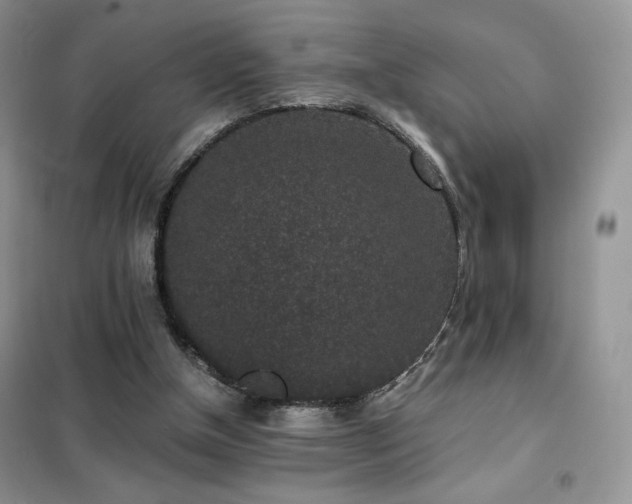 X0000102380154200808011544