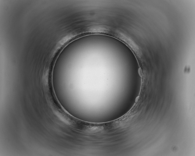 X0000102380155200808011544