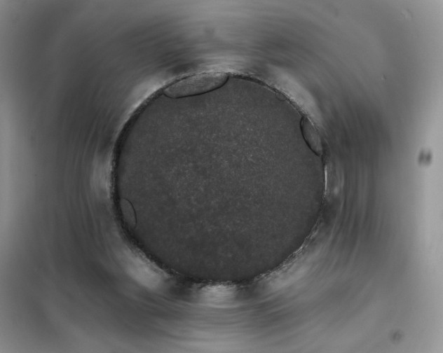 X0000102380156200808011544