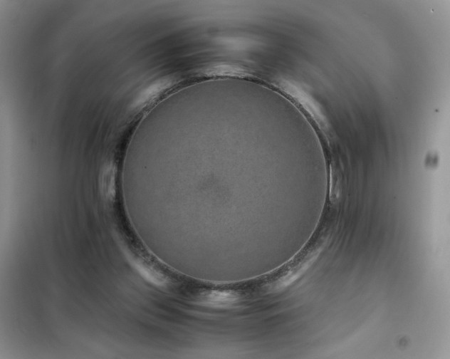 X0000102380157200808011544