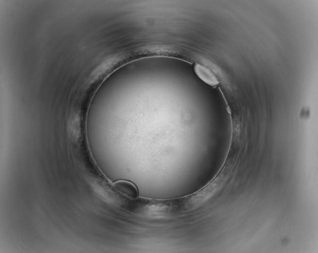 X0000102380158200808011544