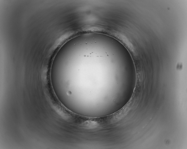 X0000102380159200808011545