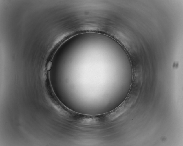 X0000102380160200808011545