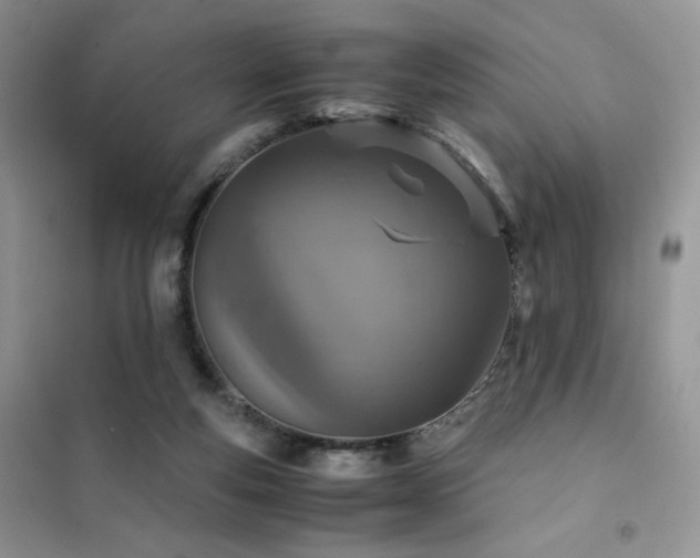X0000102380163200808011545