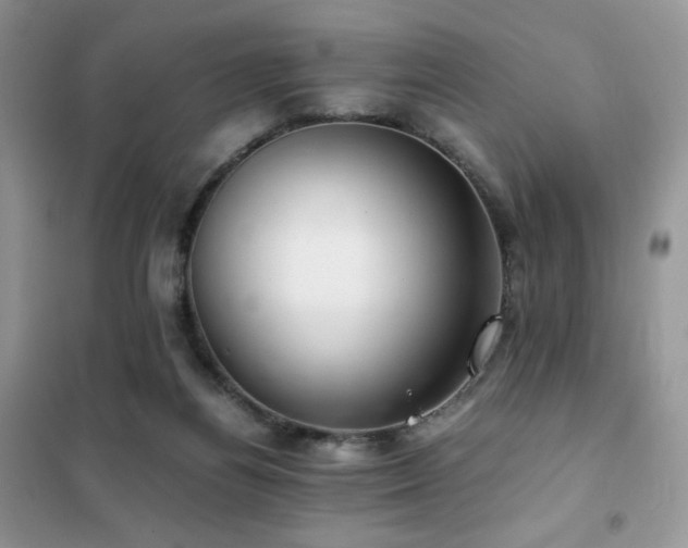 X0000102380164200808011545