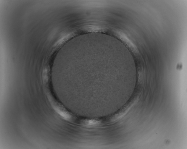 X0000102380165200808011545