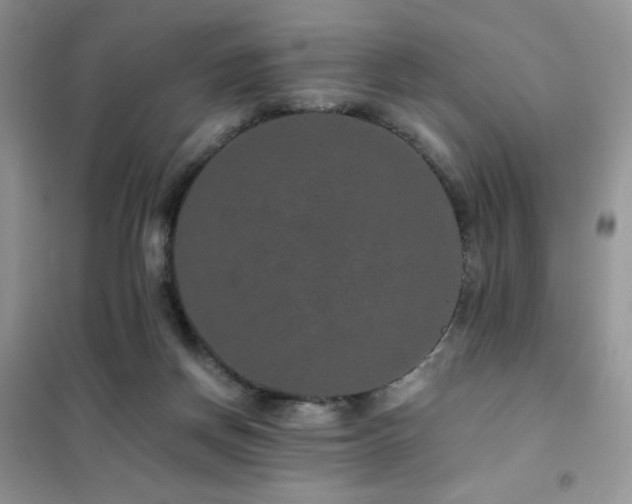 X0000102380166200808011545