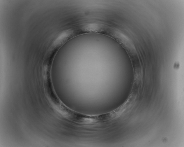 X0000102380167200808011545