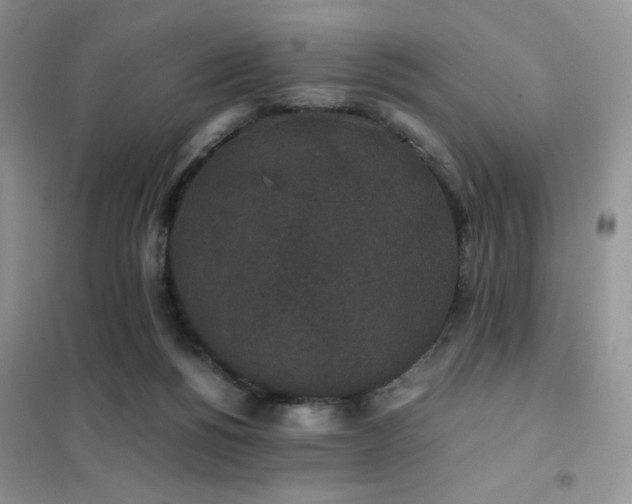X0000102380168200808011545