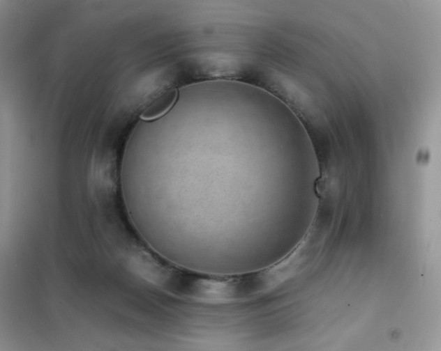 X0000102380170200808011545