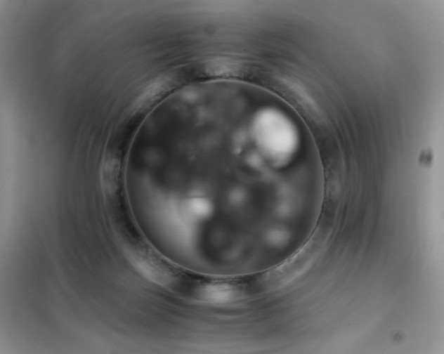 X0000102380171200808011545