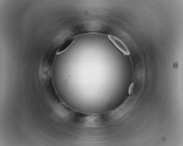 X0000102380172200808011545