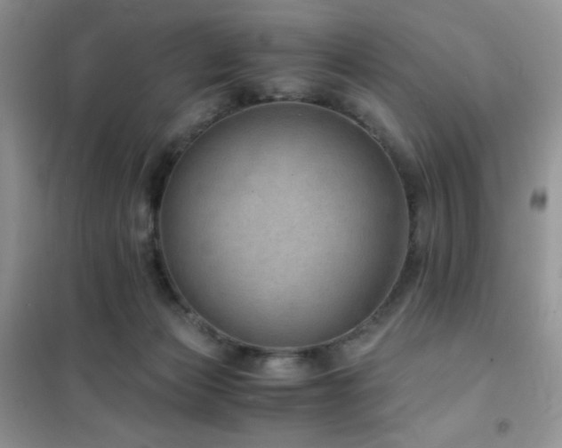 X0000102380173200808011545