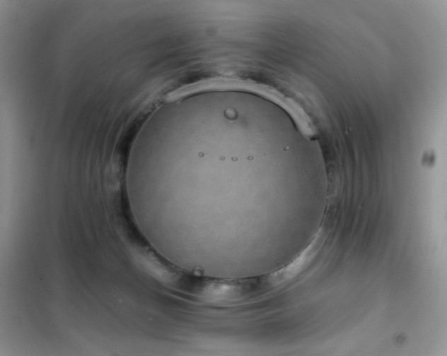 X0000102380174200808011545