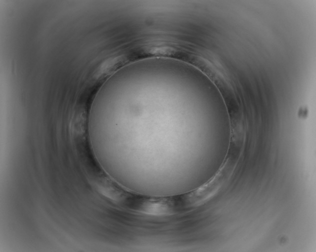 X0000102380175200808011545