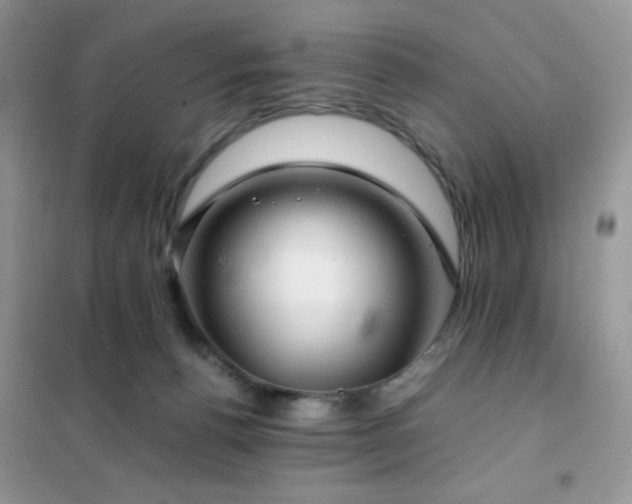 X0000102380176200808011545