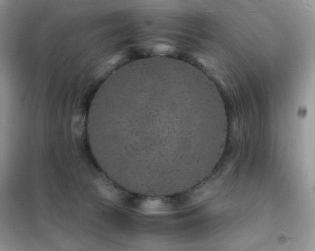 X0000102380177200808011545