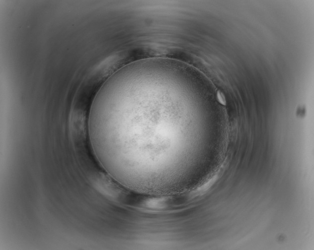 X0000102380178200808011545