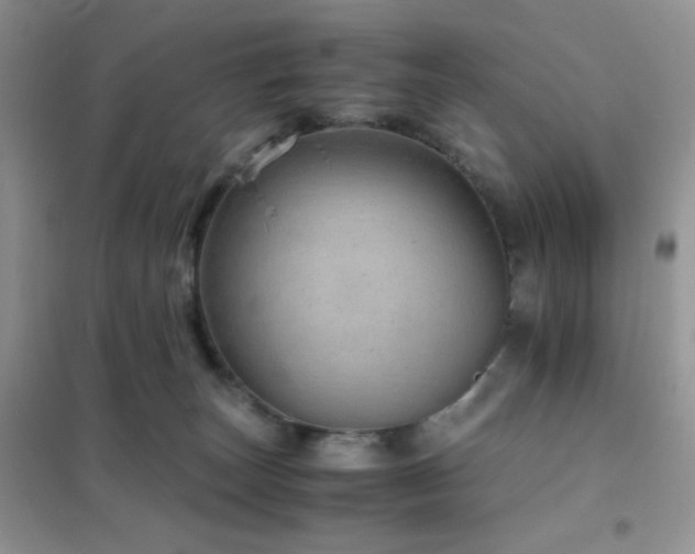 X0000102380179200808011545