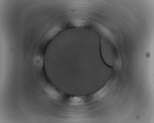 X0000102380180200808011545
