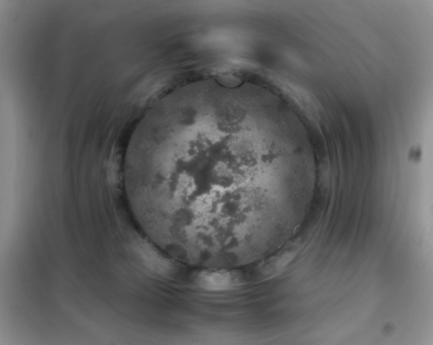 X0000102380181200808011545