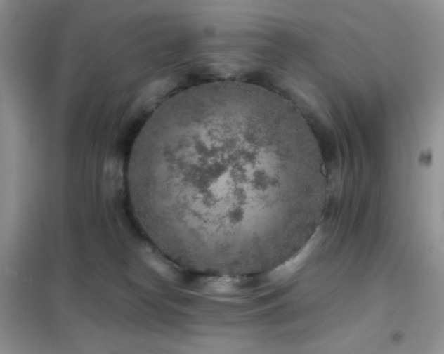 X0000102380182200808011545