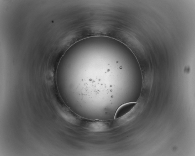 X0000102380183200808011545