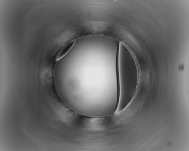 X0000102380184200808011545