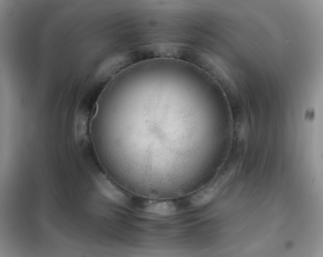 X0000102380185200808011545