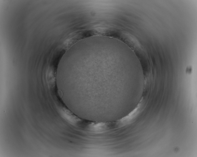 X0000102380186200808011545