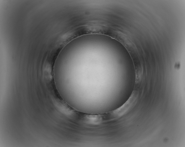 X0000102380187200808011545