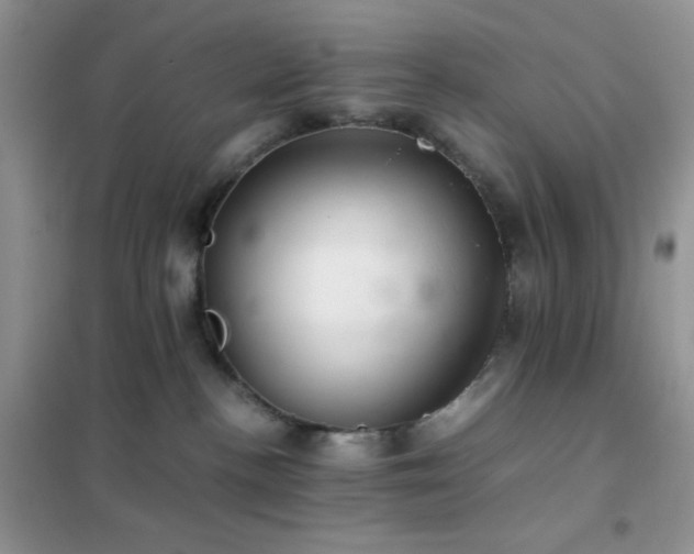 X0000102380188200808011545