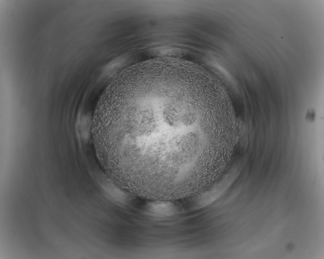 X0000102380189200808011545