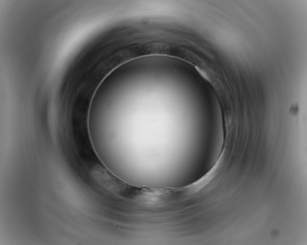 X0000102380190200808011545