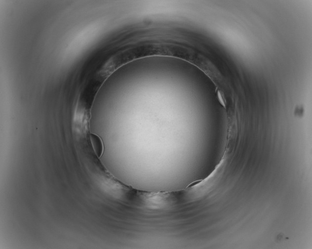 X0000102380191200808011545