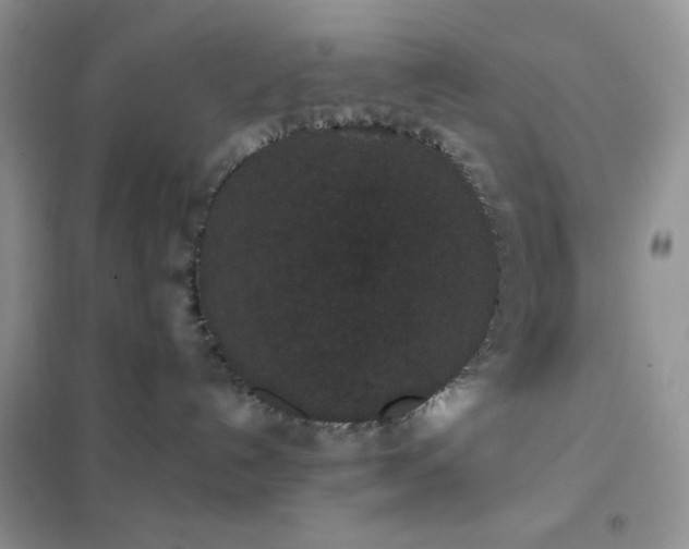 X0000102380192200808011545