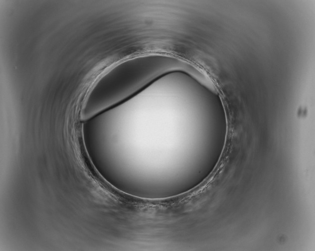 X0000102380193200808011544