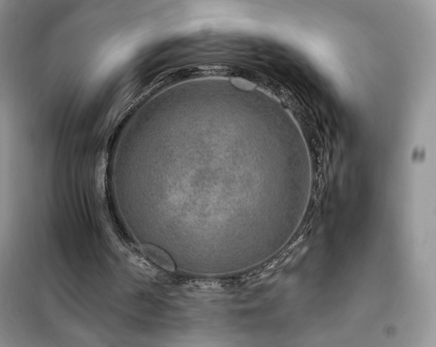 X0000102380194200808011544