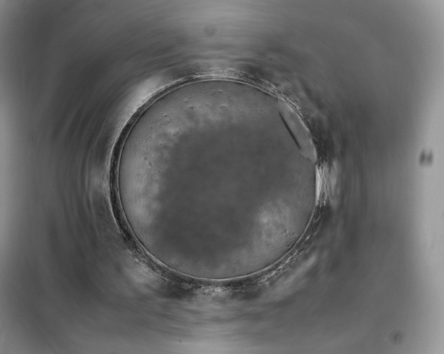X0000102380195200808011544