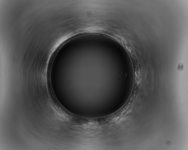 X0000102380196200808011544
