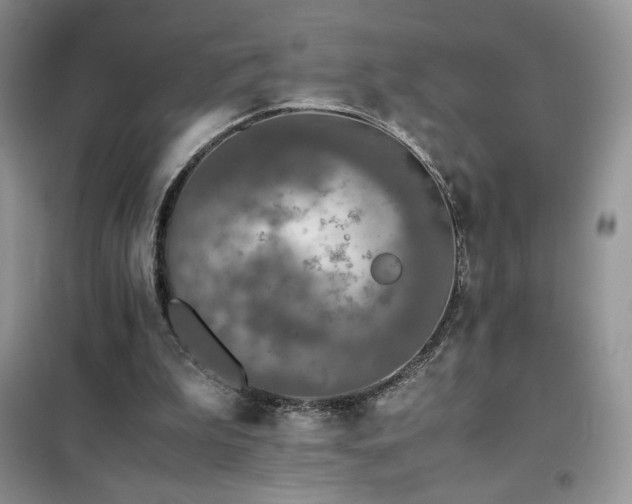 X0000102380199200808011544