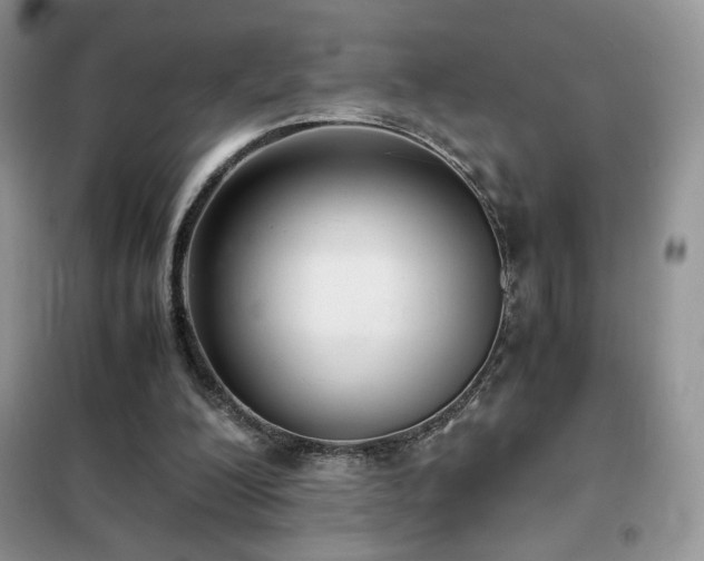 X0000102380200200808011544