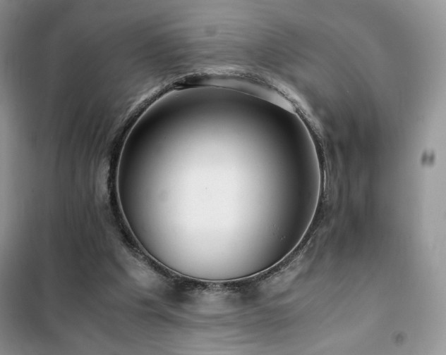 X0000102380201200808011544