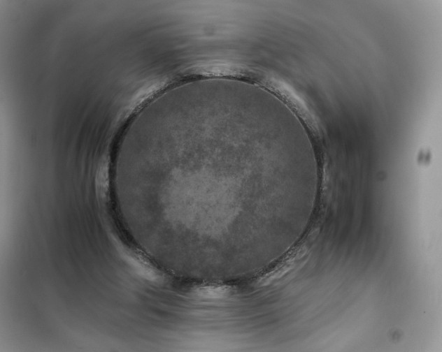 X0000102380202200808011544
