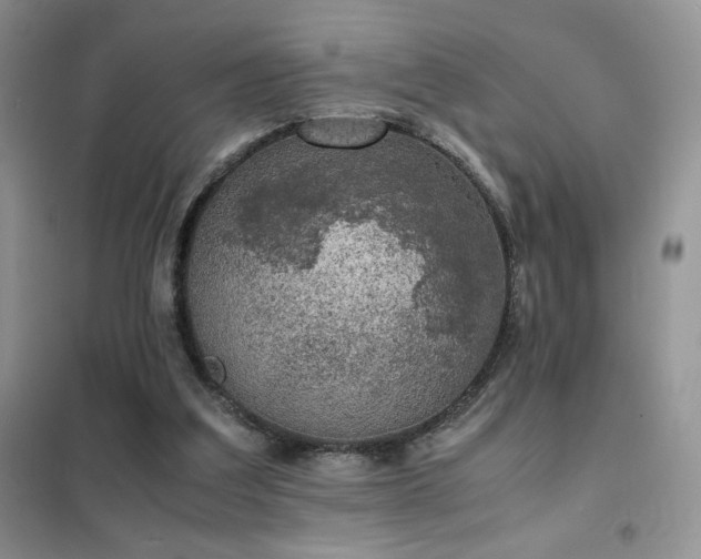 X0000102380203200808011544