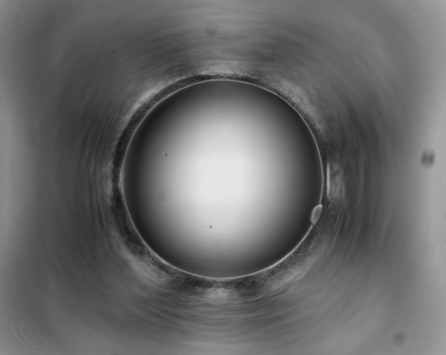 X0000102380204200808011544