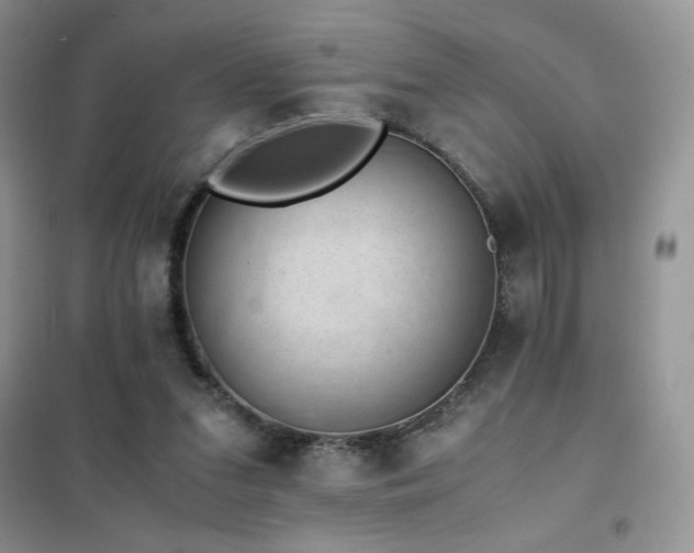 X0000102380207200808011544