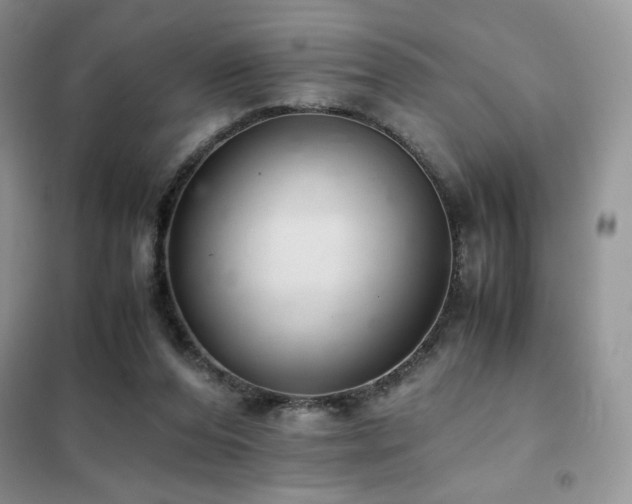 X0000102380208200808011544
